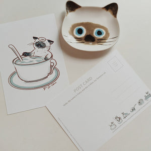 Kittea x Kino the Kitchen Cat: Postcard Series